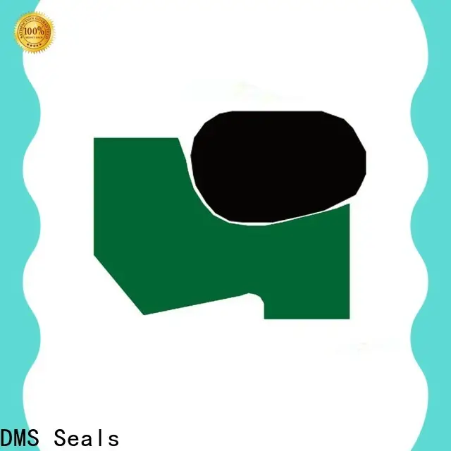 Custom poly u seal company for injection molding machines 1