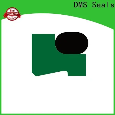 DMS Seals viton oil seal catalog company for injection molding machines 1