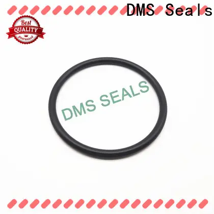 DMS Seals x and o ring for sale in highly aggressive chemical processing 1