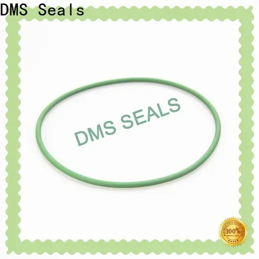 DMS Seals 0 rings online factory price in highly aggressive chemical processing 1
