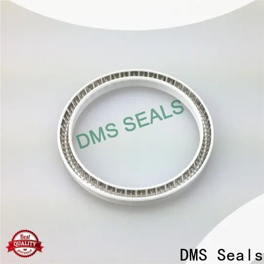 DMS Seals stationary mechanical seal supplier for reciprocating piston rod or piston single acting seal 1