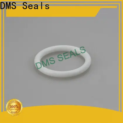 DMS Seals 0 rings online factory in highly aggressive chemical processing 1