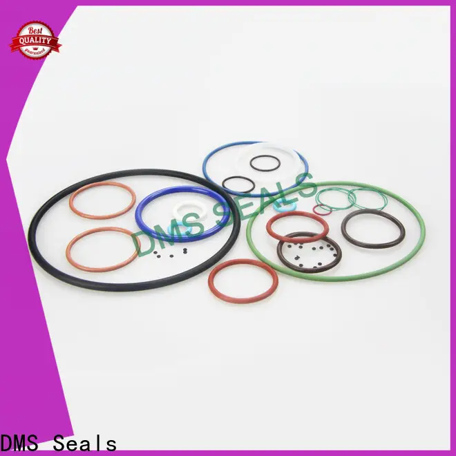 DMS Seals Custom 4 inch metal o rings factory price for sale 1