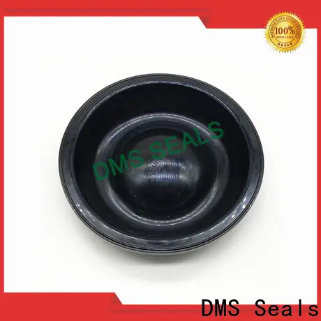 DMS Seals l shaped rubber strip factory price for leakage gap 1