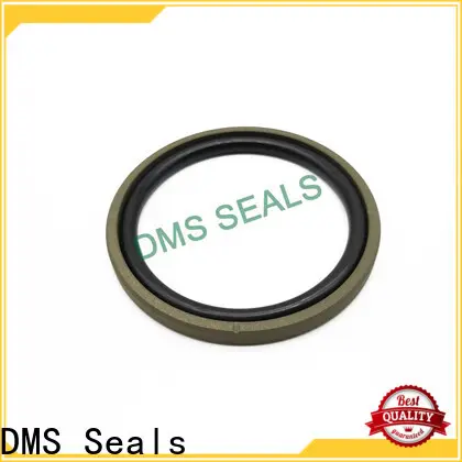 DMS Seals Wholesale pneumatic seals online factory for pneumatic equipment 1