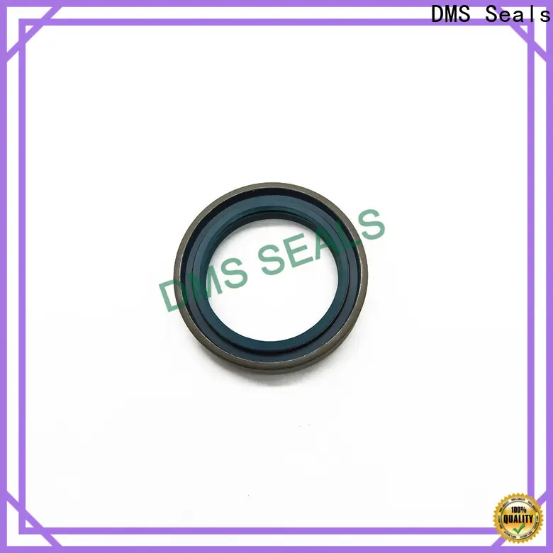 DMS Seals ptfe shaft seal for low and high viscosity fluids sealing 1
