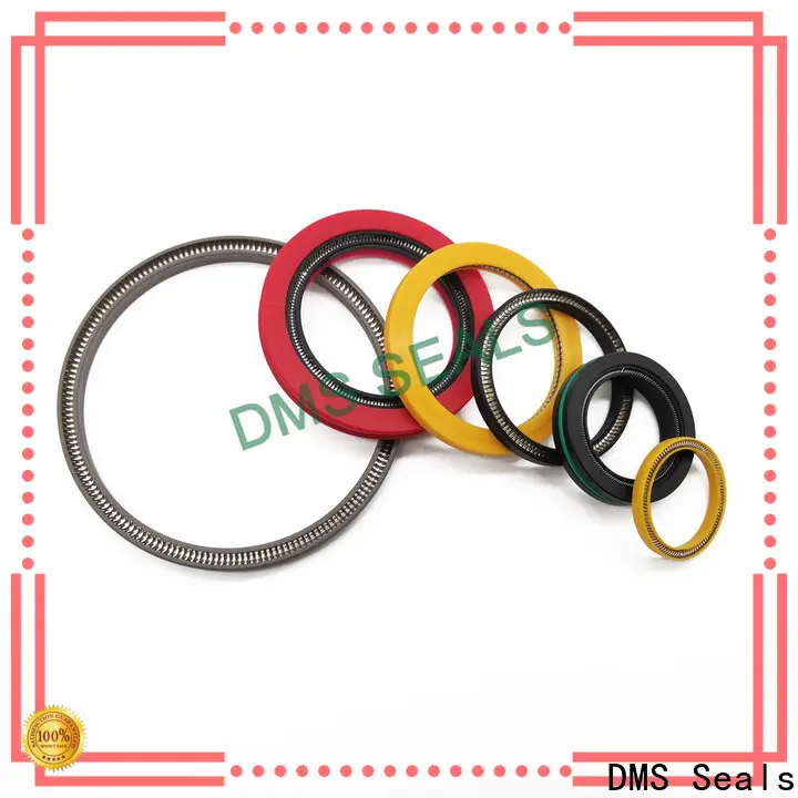 DMS Seals spring loaded oil seal supply for reciprocating piston rod or piston single acting seal 1