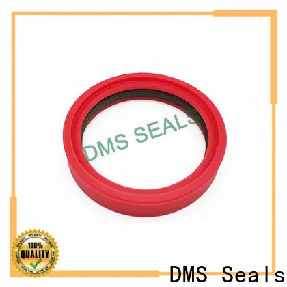 DMS Seals Bulk buy rubber seal round factory for larger piston clearance 1