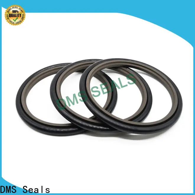DMS Seals Custom made mechanical seal face material selection factory for piston and hydraulic cylinder 1
