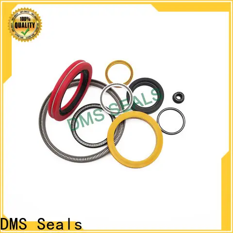 DMS Seals spring energized teflon seals cost for choke lines 1