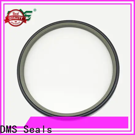 DMS Seals Quality wiper ring seal supply for metallurgical equipment 1