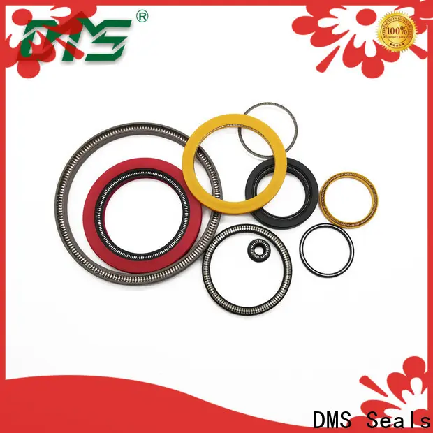 DMS Seals Top parker spring energized seals price for acidizing 1