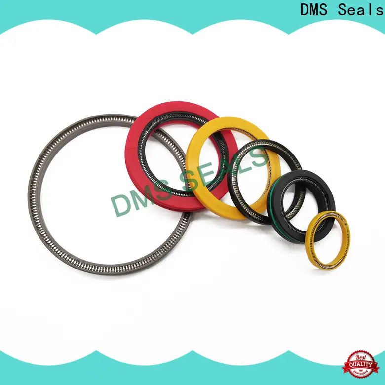DMS Seals energized seal supply for valves 1