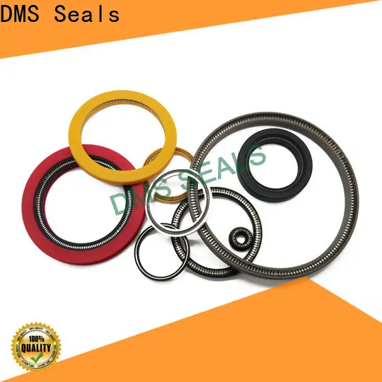 DMS Seals spring energized teflon seals price for valves 1