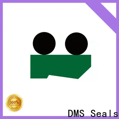 DMS Seals wiper ring manufacturer for hydraulic cylinder 1