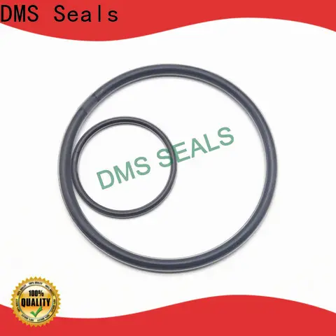 DMS Seals thick rubber o rings in highly aggressive chemical processing 1