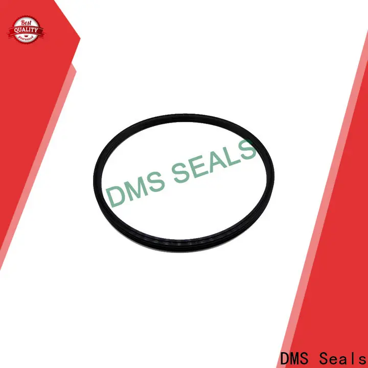DMS Seals DMS Seals mechanical seal construction supply for larger piston clearance 1