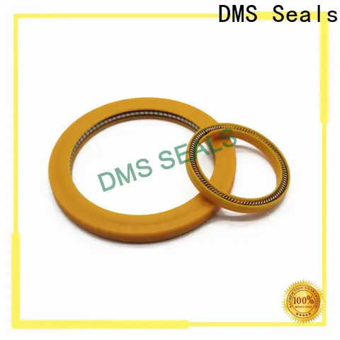 DMS Seals oil seal spring supplier for aviation 1