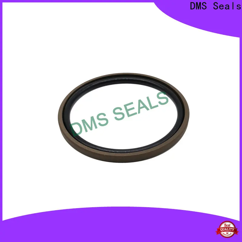 DMS Seals rod seal design manufacturer for light and medium hydraulic systems 1