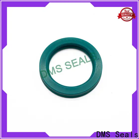 DMS Seals Buy rotary seals manufacturer supply for piston and hydraulic cylinder 1