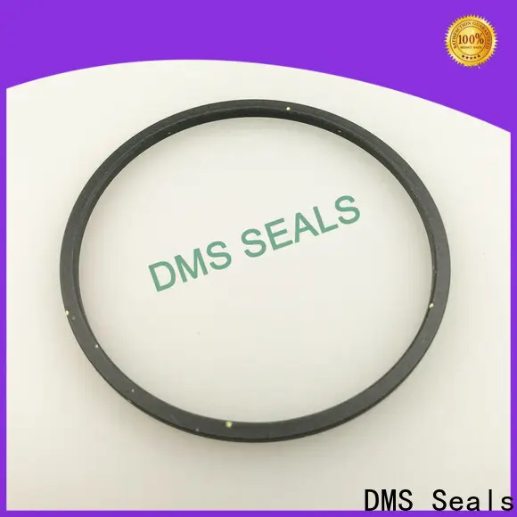 DMS Seals Custom soft seal suppliers supplier for piston and hydraulic cylinder 1