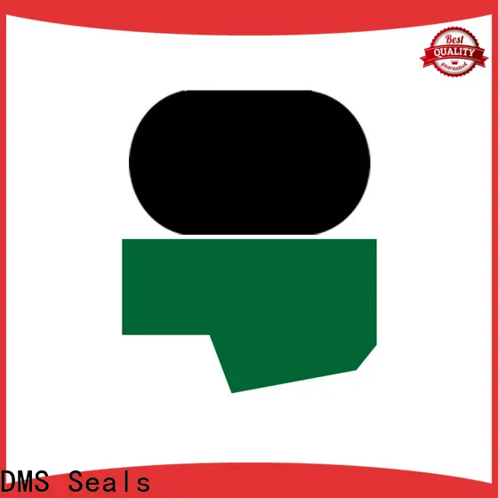 DMS Seals rod seal tool factory to high and low speed 1