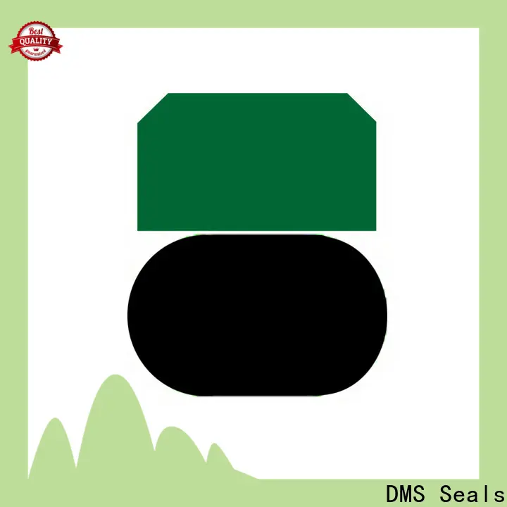 DMS Seals rubber seals for fluid and hydraulic systems wholesale for sale 1