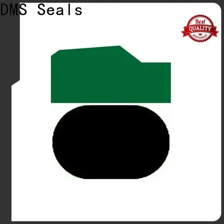 DMS Seals seal pneumatics inc company for light and medium hydraulic systems 1