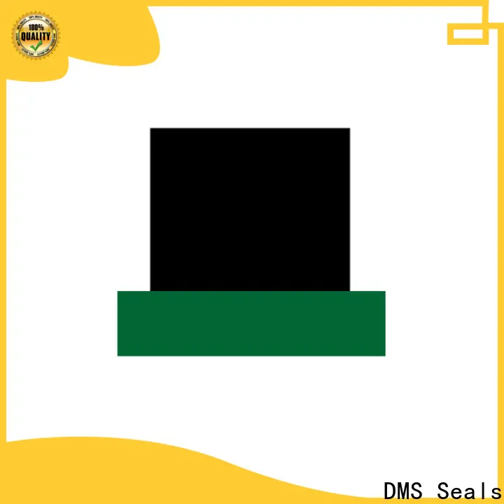 DMS Seals high quality hydraulic rod seals online factory price to high and low speed 1