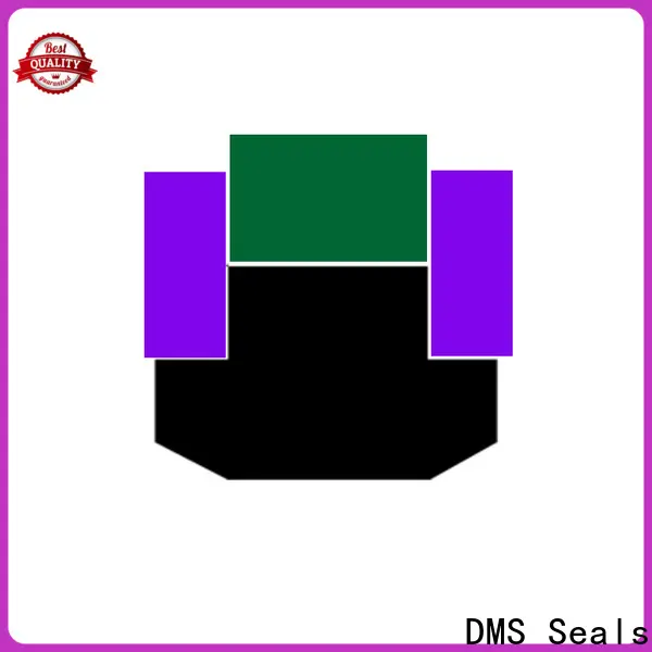 DMS Seals Latest hydraulic cylinder gaskets factory for sale 1