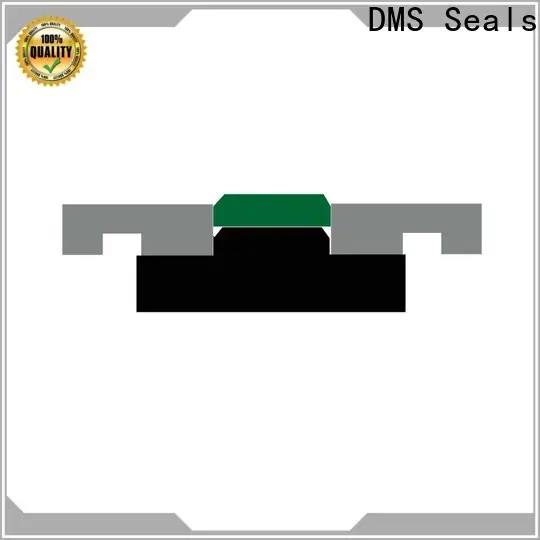 DMS Seals hydraulic pump oil seal for sale 1
