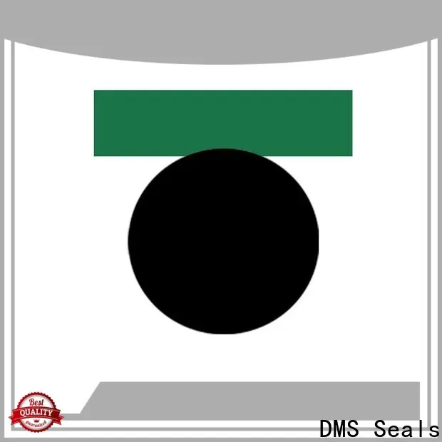 DMS Seals hydraulic cylinder gaskets company for sale 1