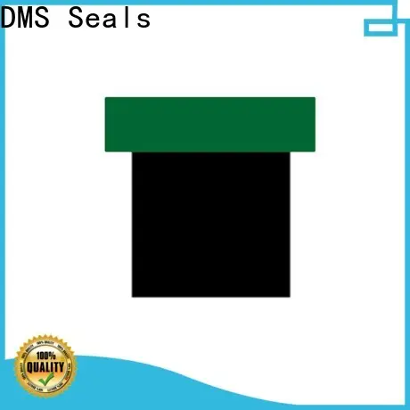 DMS Seals piston seal manufacturers factory price for sale 1