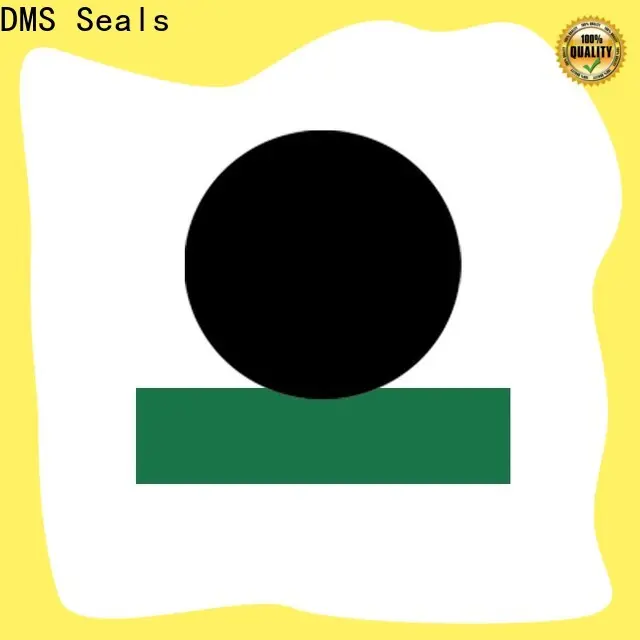 DMS Seals hydraulic cylinder shaft seals vendor for sale 1