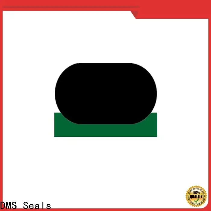 DMS Seals hydraulic rod seals online vendor to high and low speed 1