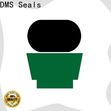 DMS Seals Custom hydraulic oil seal sizes wholesale for sale 1