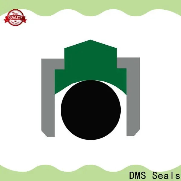 DMS Seals High-quality piston oil seal for sale for automotive equipment 1