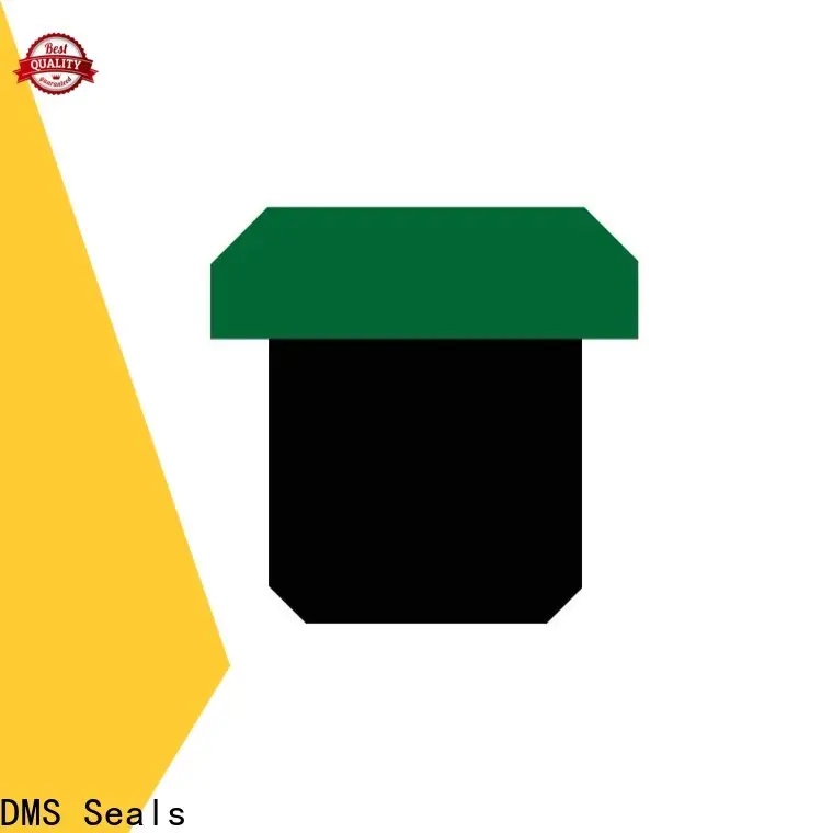 DMS Seals Wholesale rod seal design company for sale 1