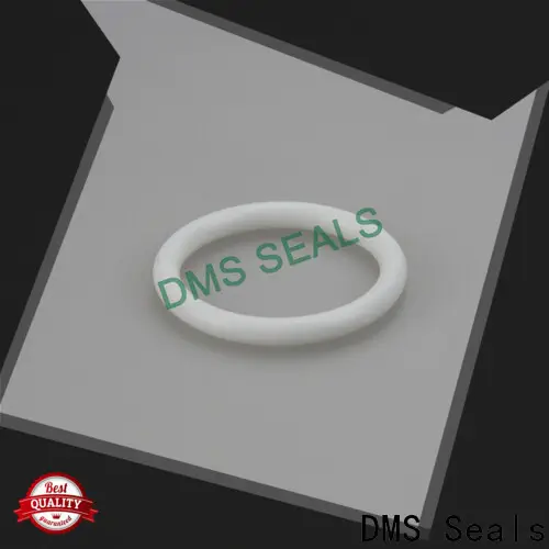 DMS Seals where to buy rubber o rings price in highly aggressive chemical processing 1