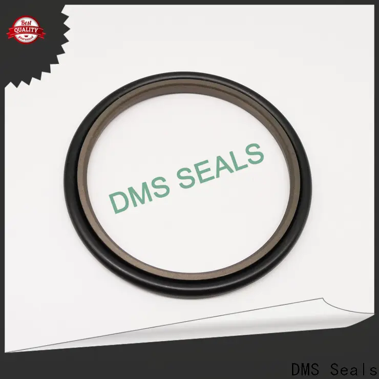 DMS Seals hydraulic rod seals supply for piston and hydraulic cylinder 1
