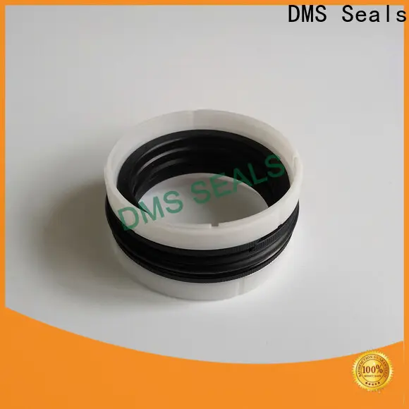 DMS Seals rubber oil seals manufacturer price for larger piston clearance 1