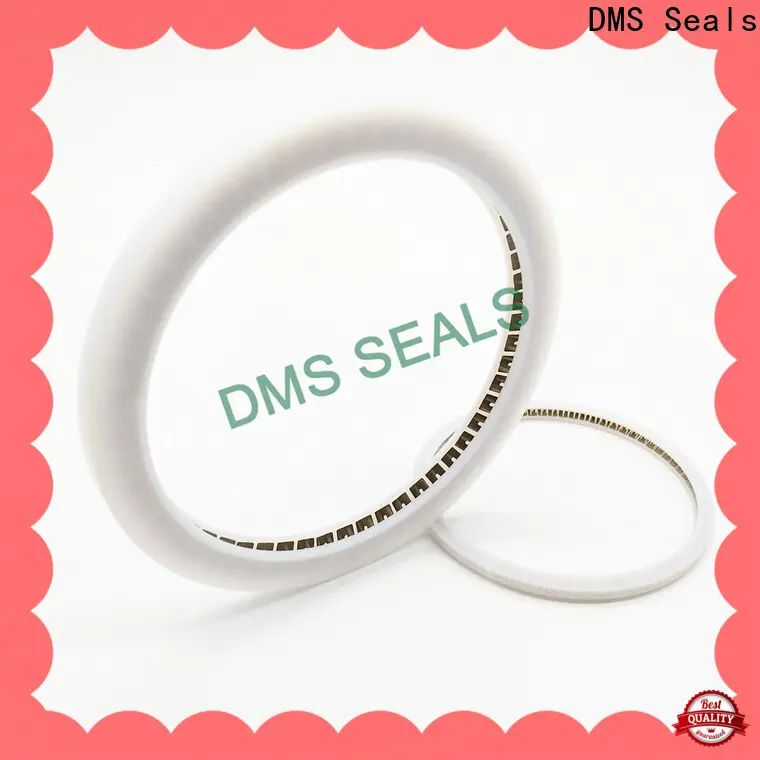 DMS Seals oil seal manufacturer wholesale for reciprocating piston rod or piston single acting seal1 1