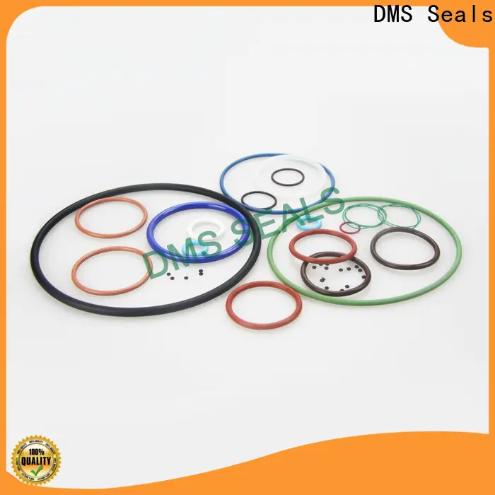 Latest buy viton o rings in highly aggressive chemical processing 1