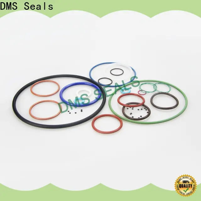 DMS Seals Best 2 inch o ring gasket factory for sale 1