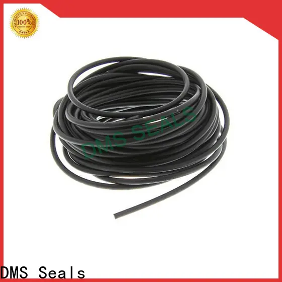 High-quality best place to buy o rings company in highly aggressive chemical processing 1