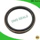 DMS Seals packing rod seals factory price for sale 1