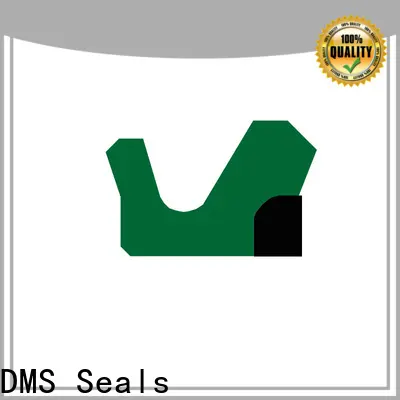 DMS Seals hydraulic seals india factory for pressure work and sliding high speed occasions 1