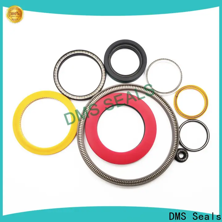 High-quality multi spring seal company for aviation 1