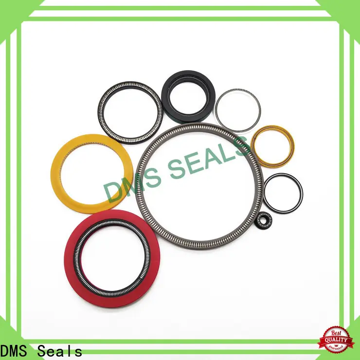 DMS Seals mechanical seal maintenance manufacturer for reciprocating piston rod or piston single acting seal 1