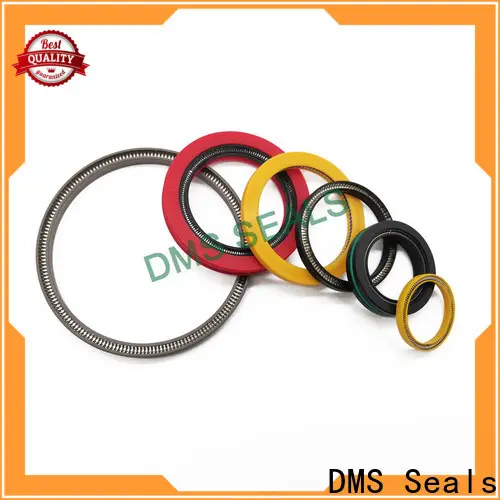 DMS Seals spring loaded oil seal price for reciprocating piston rod or piston single acting seal 1